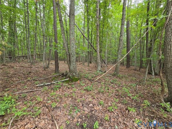 5.6 Ac Meadow Creek Road , Wingina, VA 24599