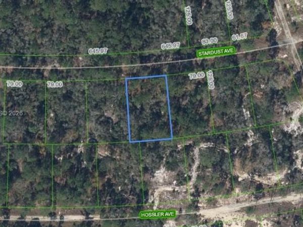 365 Stardust Avenue , Lake Placid, FL 33852