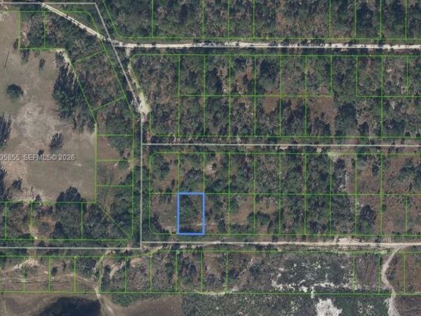 208 Claverton Drive , Lake Placid, FL 33852