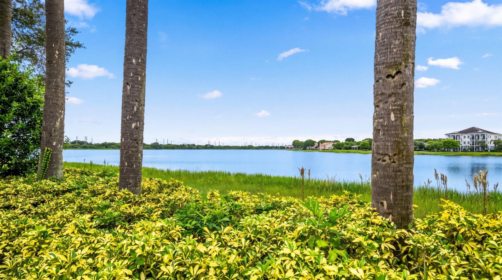 10765 Pisa Road, Wellington, FL 33414 Photo