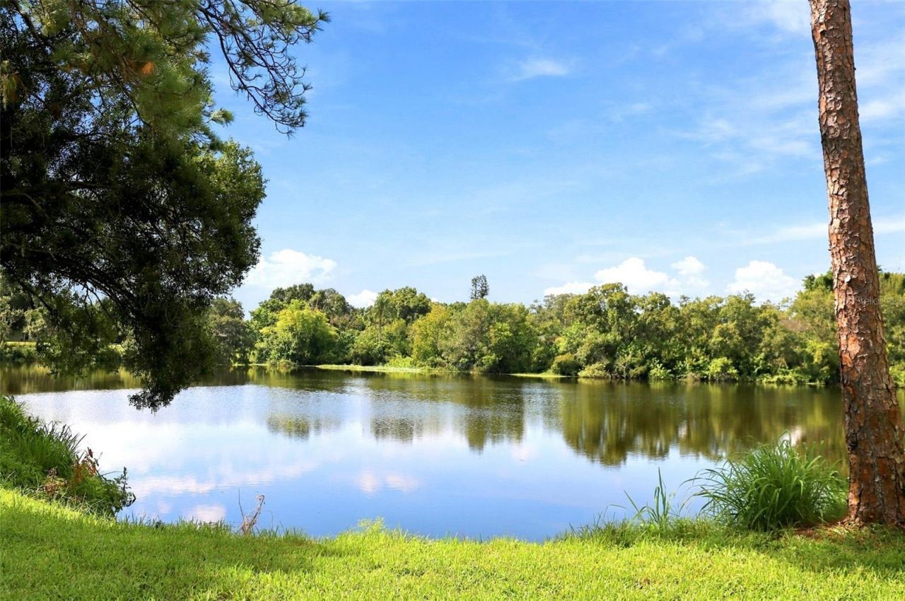 4848 Tivoli Avenue, Sarasota, FL 34235 Photo