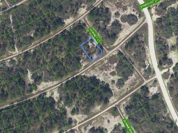 408 Hornet Court , Lake Placid, FL 33852