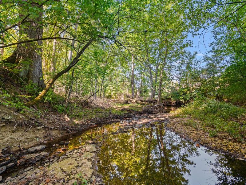 10460 Jasons Bluff, Florence, KY 41042 Photo 43