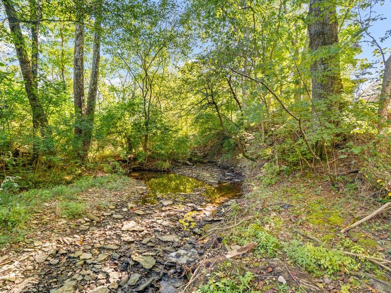 10460 Jasons Bluff, Florence, KY 41042 Photo 44
