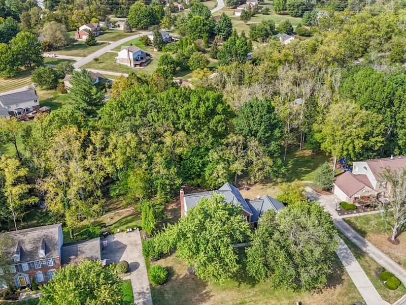 10460 Jasons Bluff, Florence, KY 41042 Photo 48