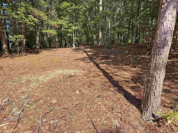 160 John A Trail, Mountain View, AR 72560