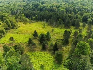 6030 NYS Route 26, Whitney Point, NY 13862