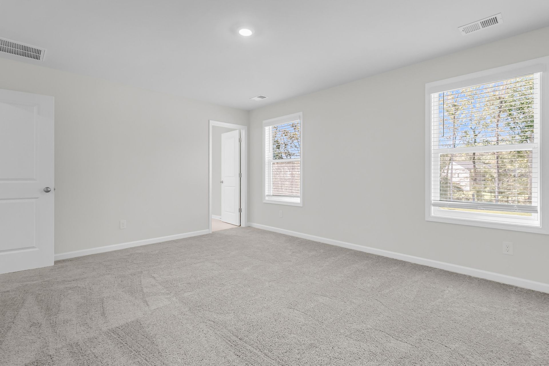 252 Central Creek Drive Photo 19