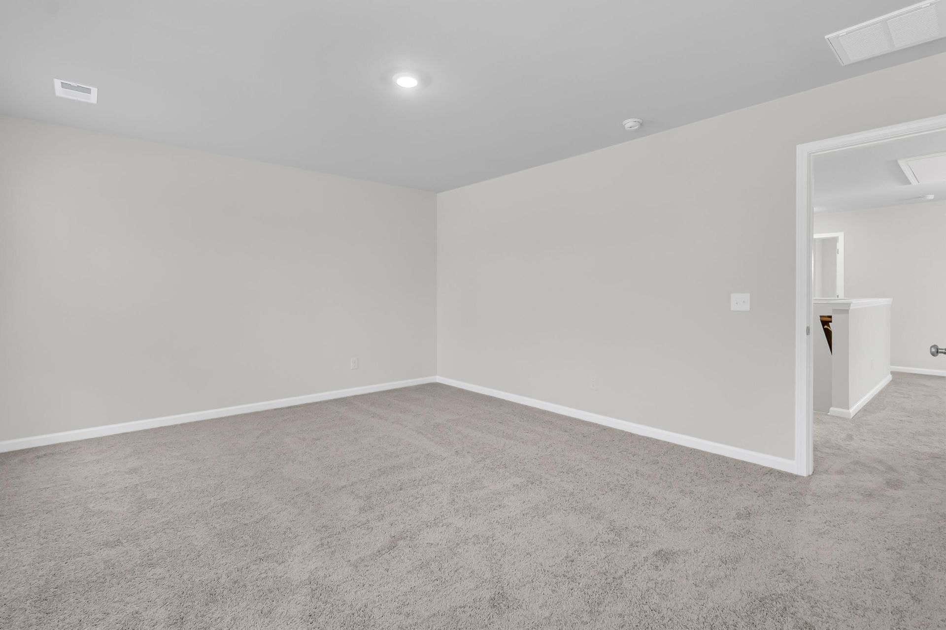 252 Central Creek Drive Photo 20