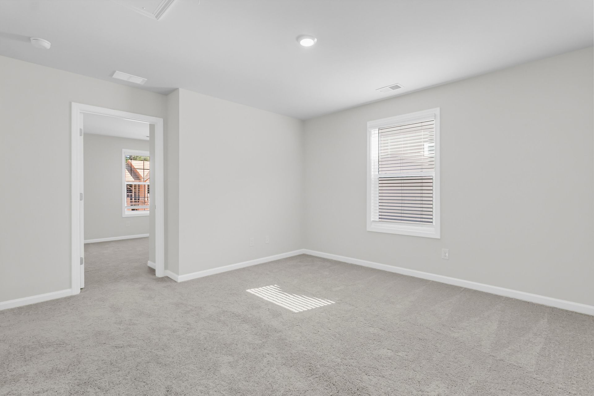 252 Central Creek Drive Photo 25