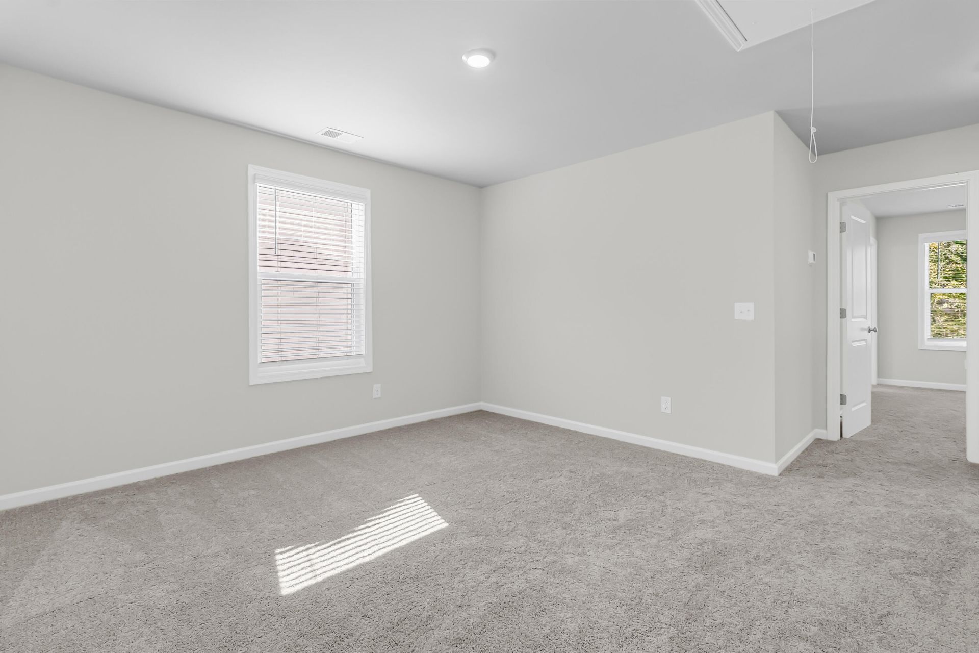 252 Central Creek Drive Photo 26