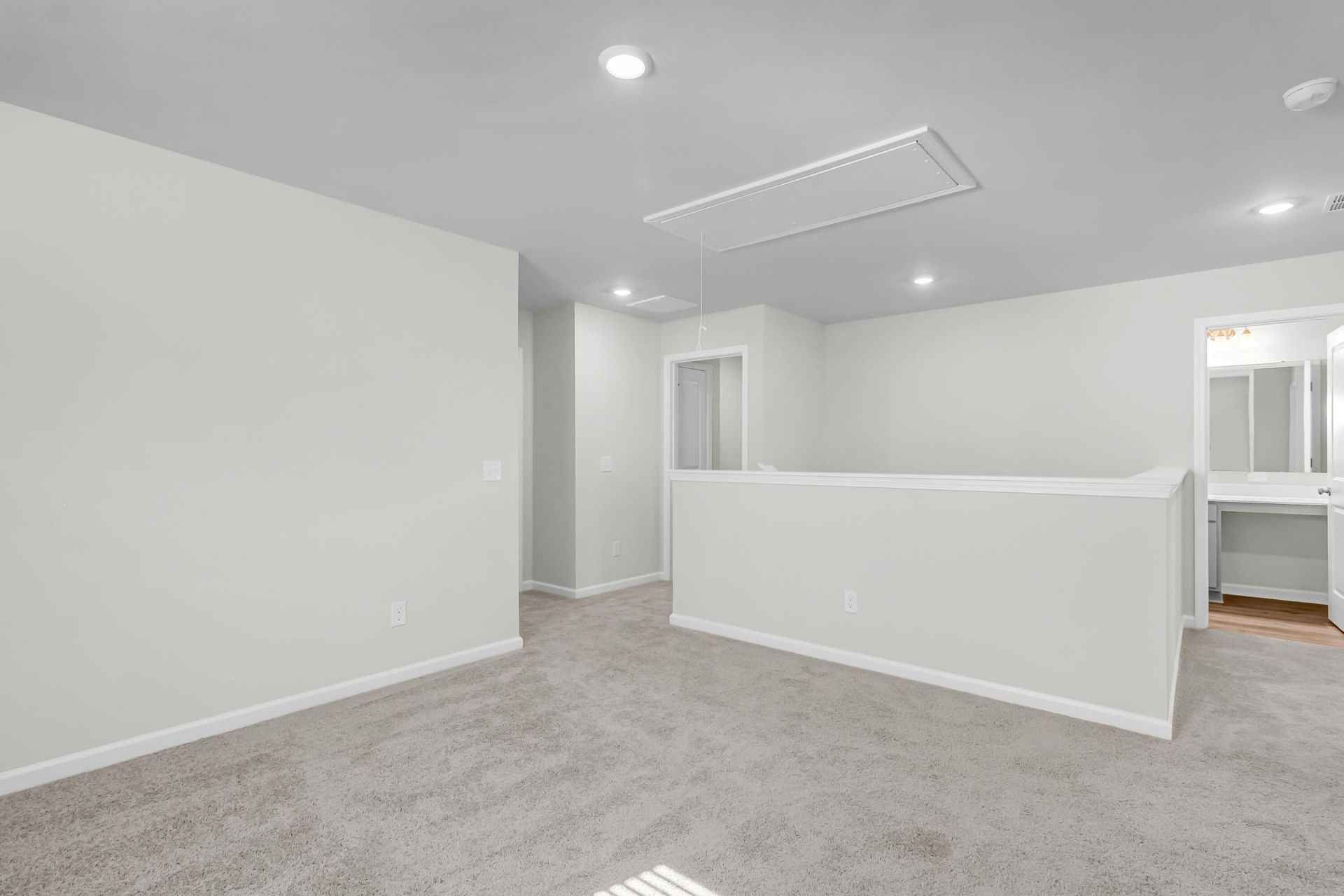 252 Central Creek Drive Photo 27