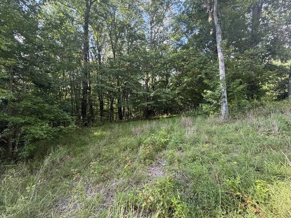 0 Willow Hollow Rd , Unit 1, Clarksville, TN 37043