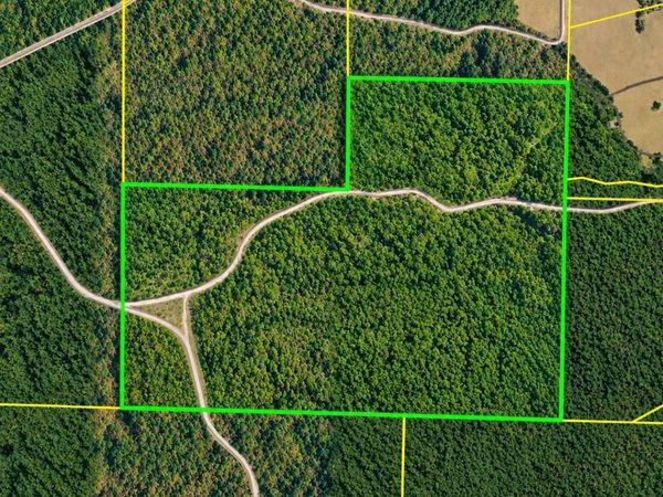 TBD (100) Manfred Road, Norman, AR 71960