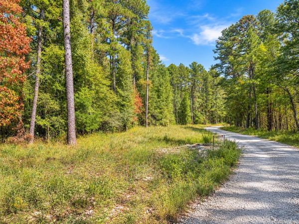 TBD (60) Manfred Road, Norman, AR 71960