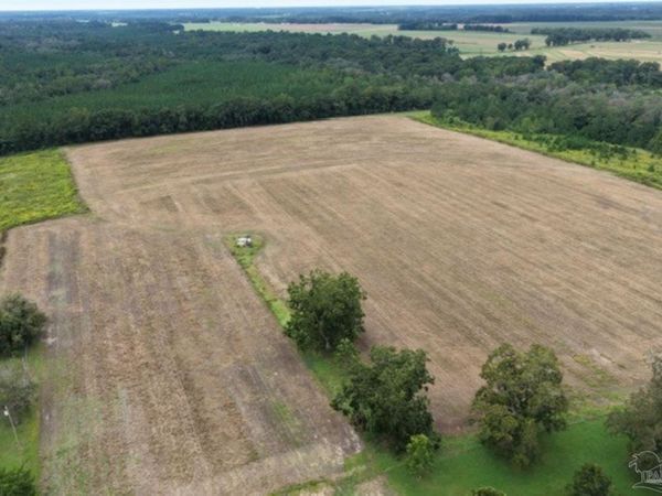 7400 Mcelhaney Rd, Century, FL 32535