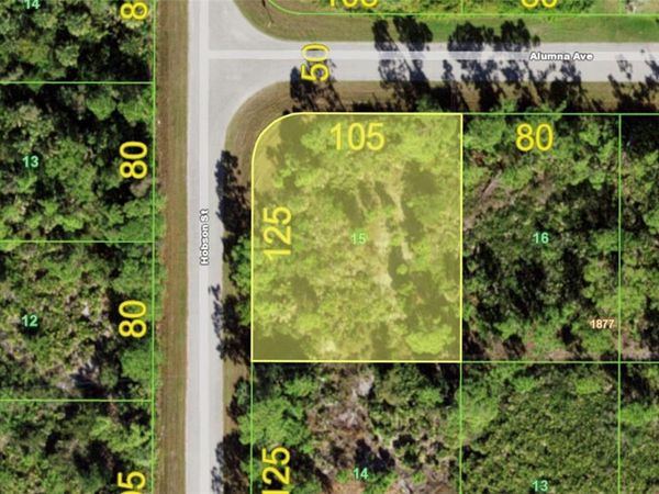 12069 ALUMNA AVENUE , PORT CHARLOTTE, FL 33981