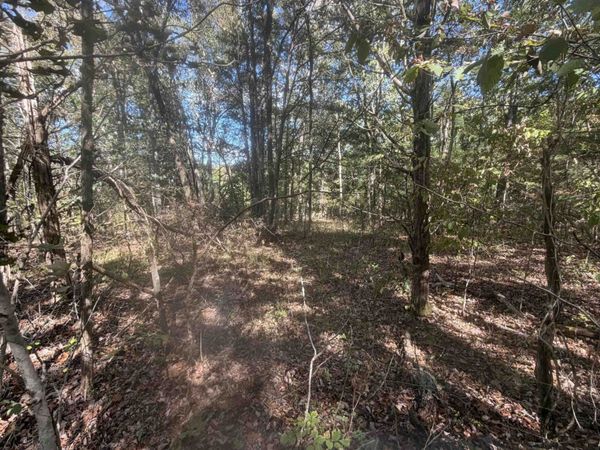 0 DOLL CONWAY RD , Clifton, TN 38425