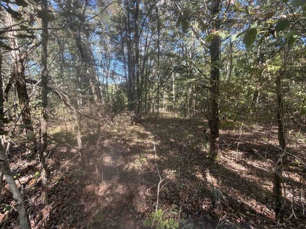 DOLL CONWAY RD, Clifton, TN 38425