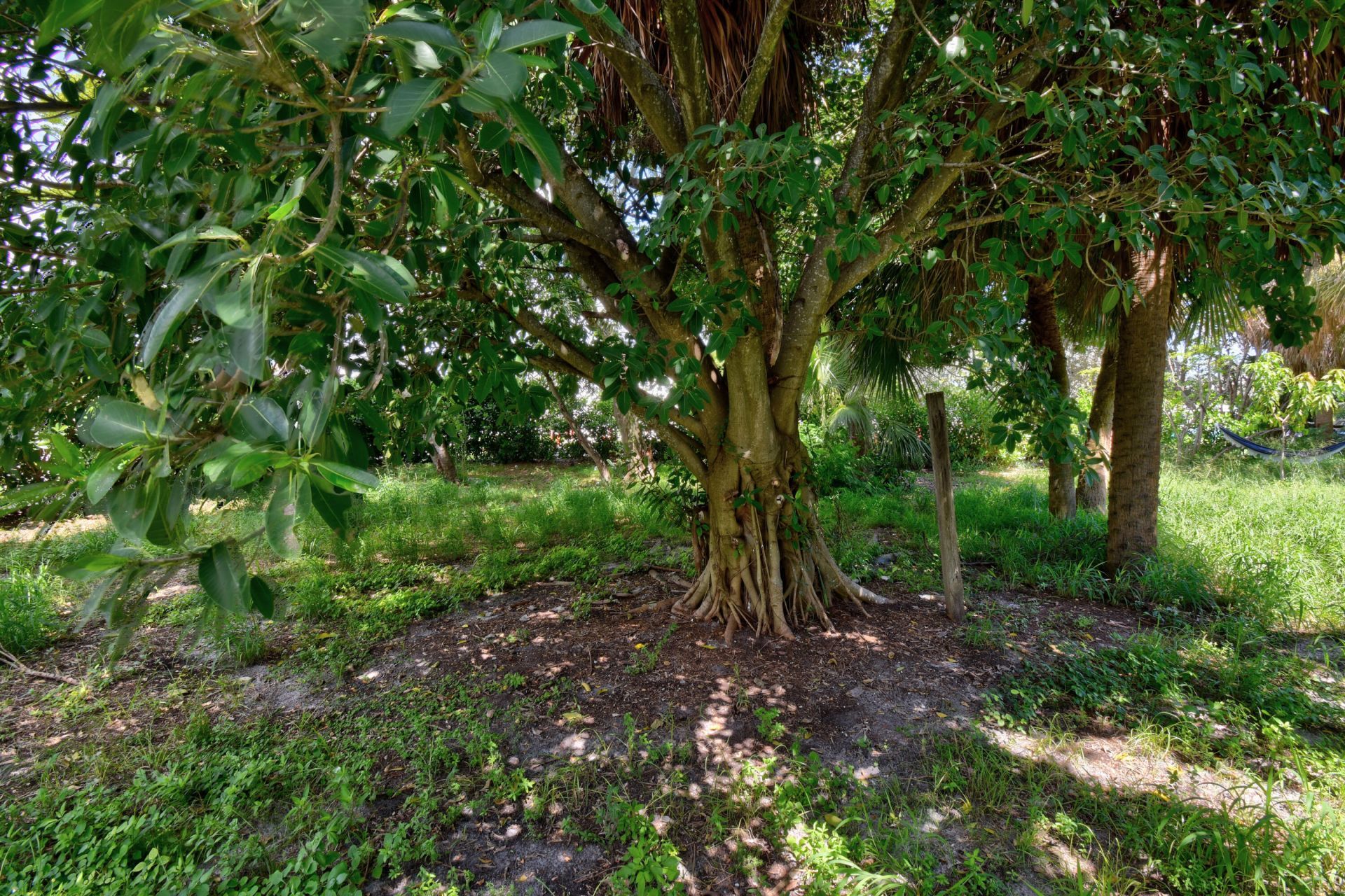 639 6th Street, West Palm Beach, FL 33401 Photo
