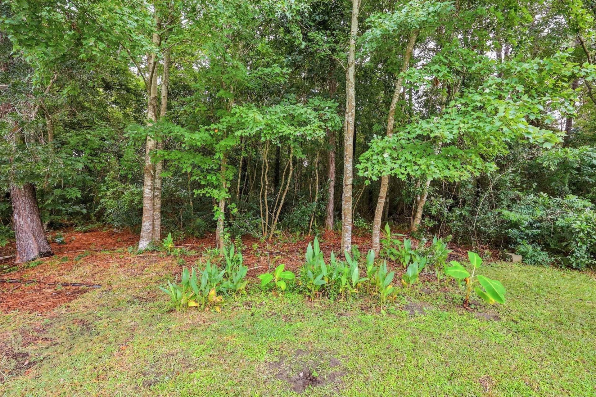 2517 Hunters Trail Photo 60
