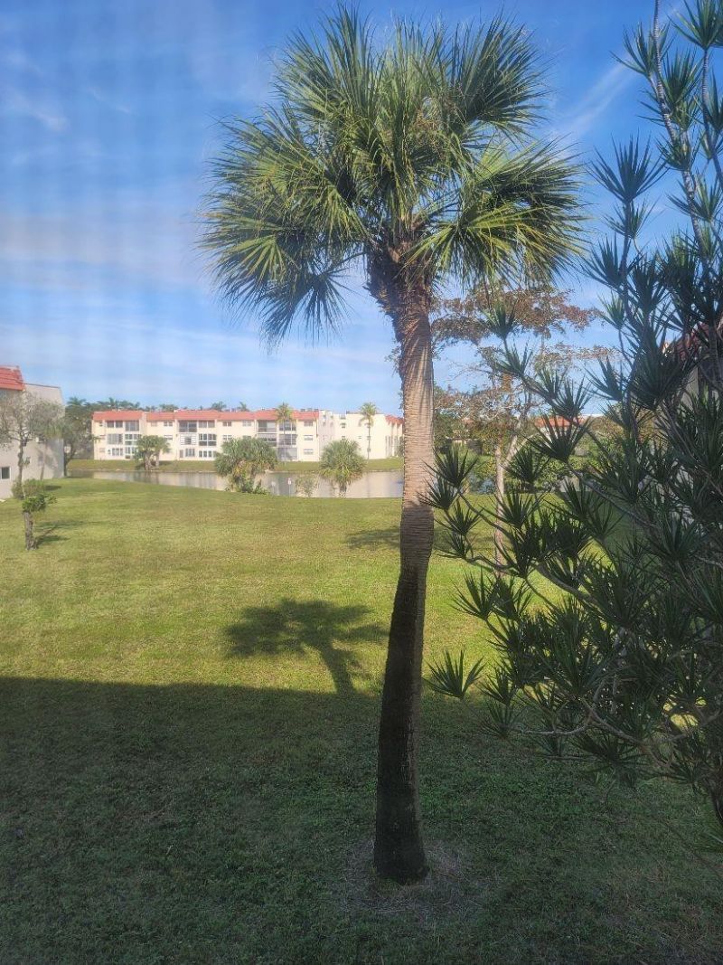 2951 Sunrise Lakes Drive E, Sunrise, FL 33322 Photo