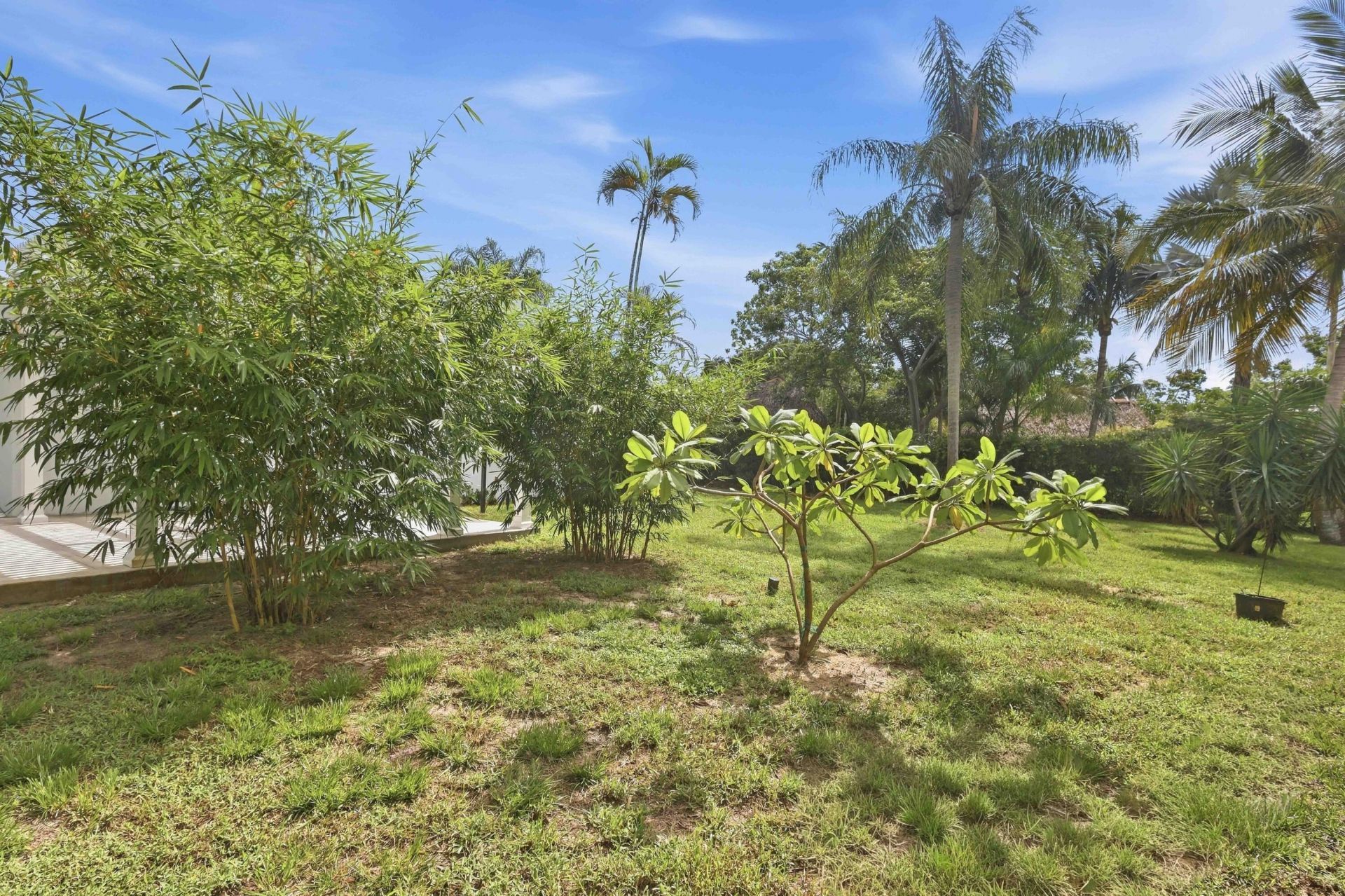 2460 SW 15th Street, Fort Lauderdale, FL 33312 Photo