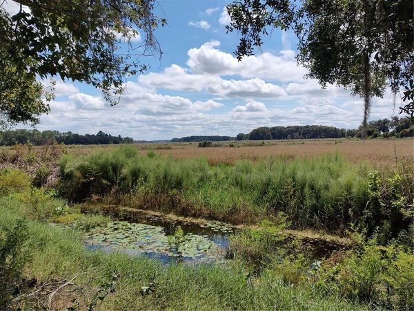 6090 N BAYFRONT DRIVE , HERNANDO, FL 34442