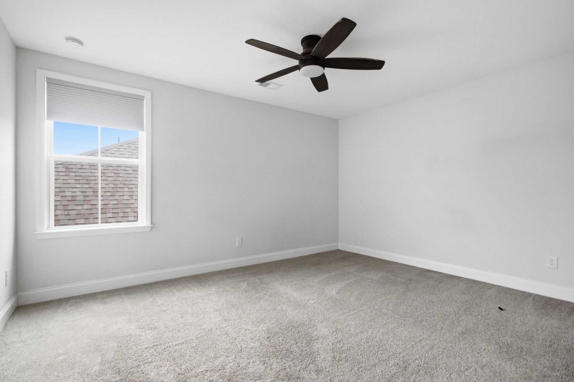 703 Black Pine Road Photo 47