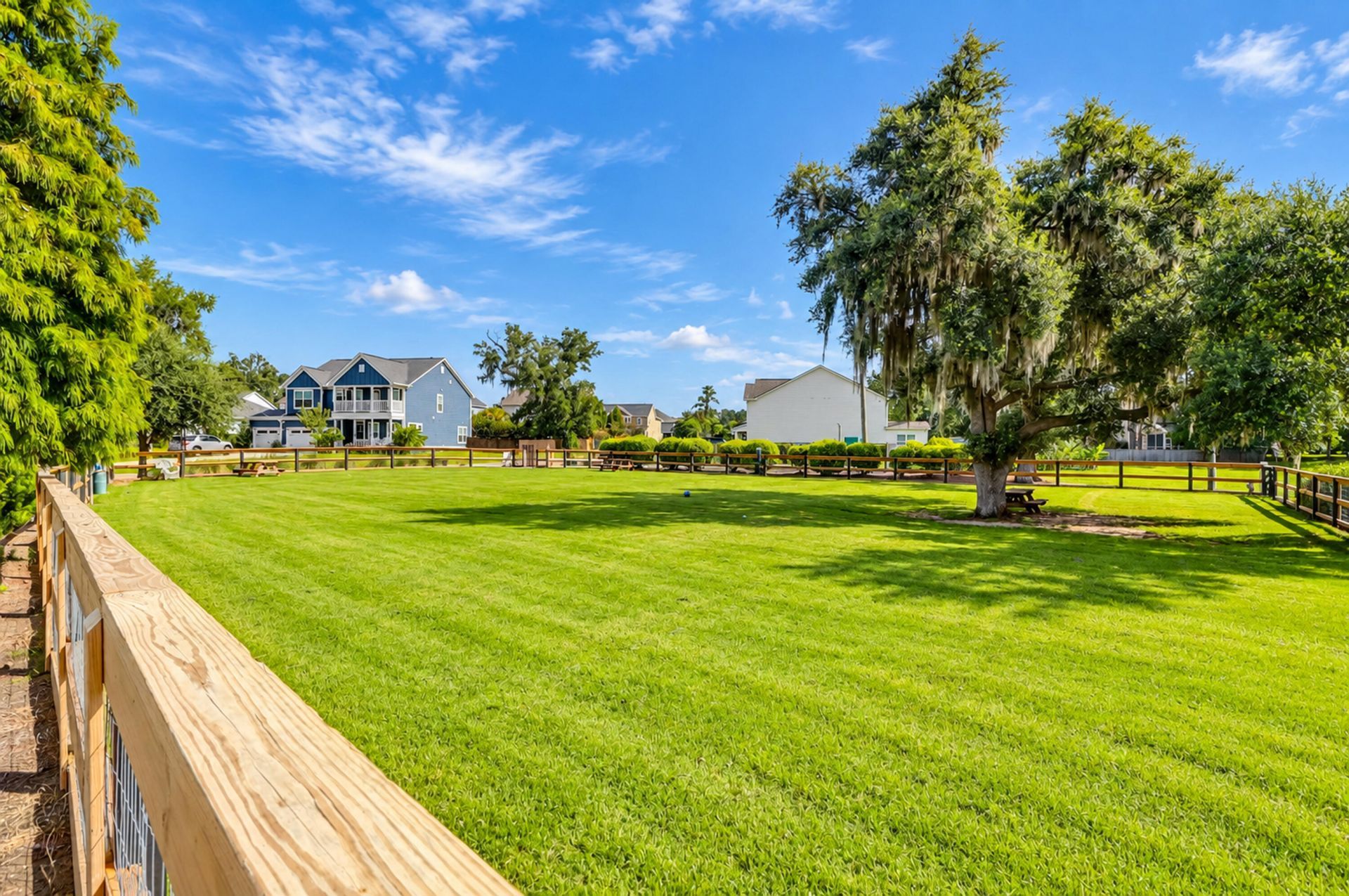 703 Black Pine Road Photo 57