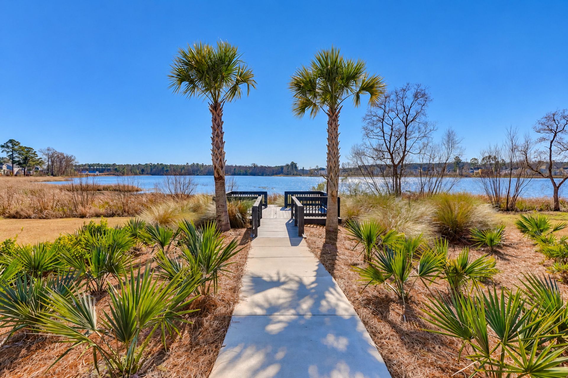703 Black Pine Road Photo 58