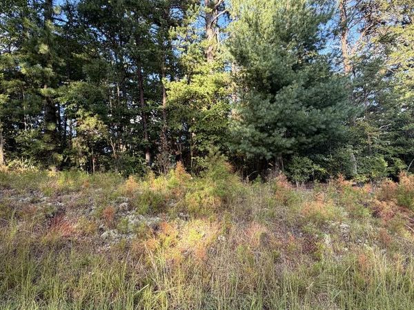 Lot 17 Belaire Drive, Copperhill, TN 37317