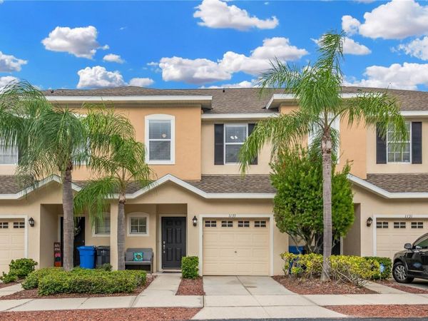 1133 ANDREW AVILES CIRCLE, TAMPA, FL 33619