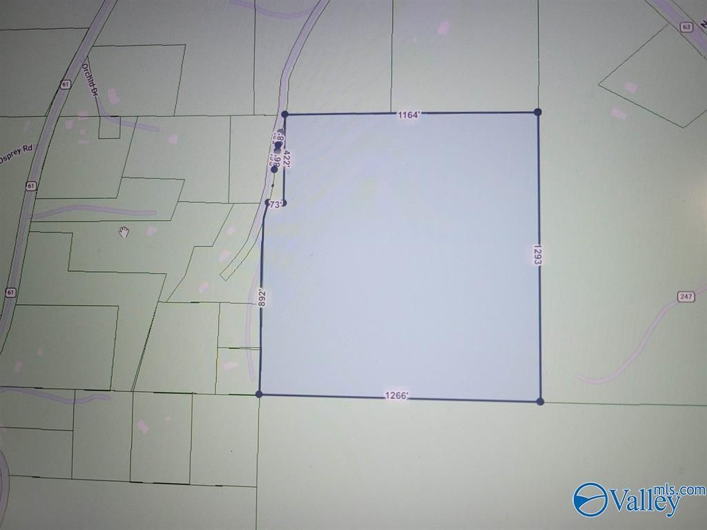 10 County Road 245, Houston, AL 35572 Main Photo