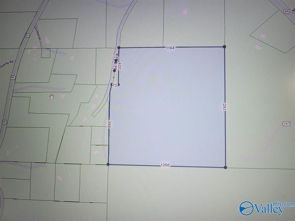10 County Road 245, Houston, AL 35572