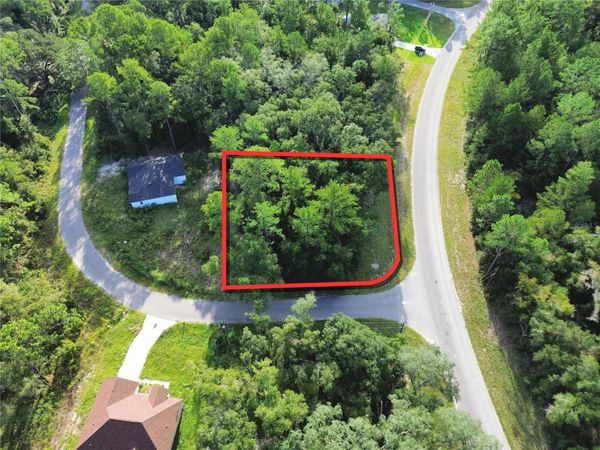 TBD FISHER ROAD , OCKLAWAHA, FL 32179