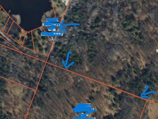 8125 Enid Drive, Evart, MI 49631