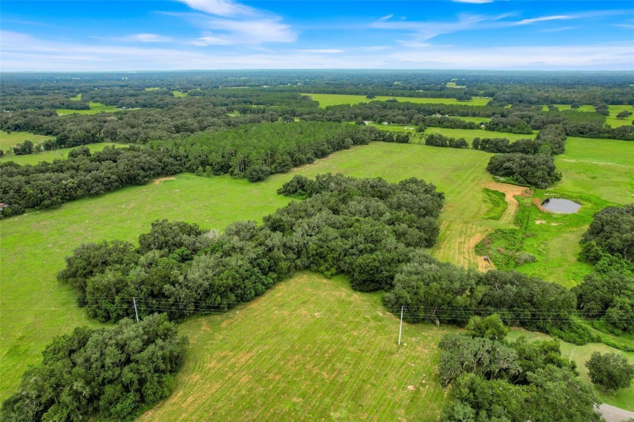 1382 Cr 722, Webster, FL 33597 Photo