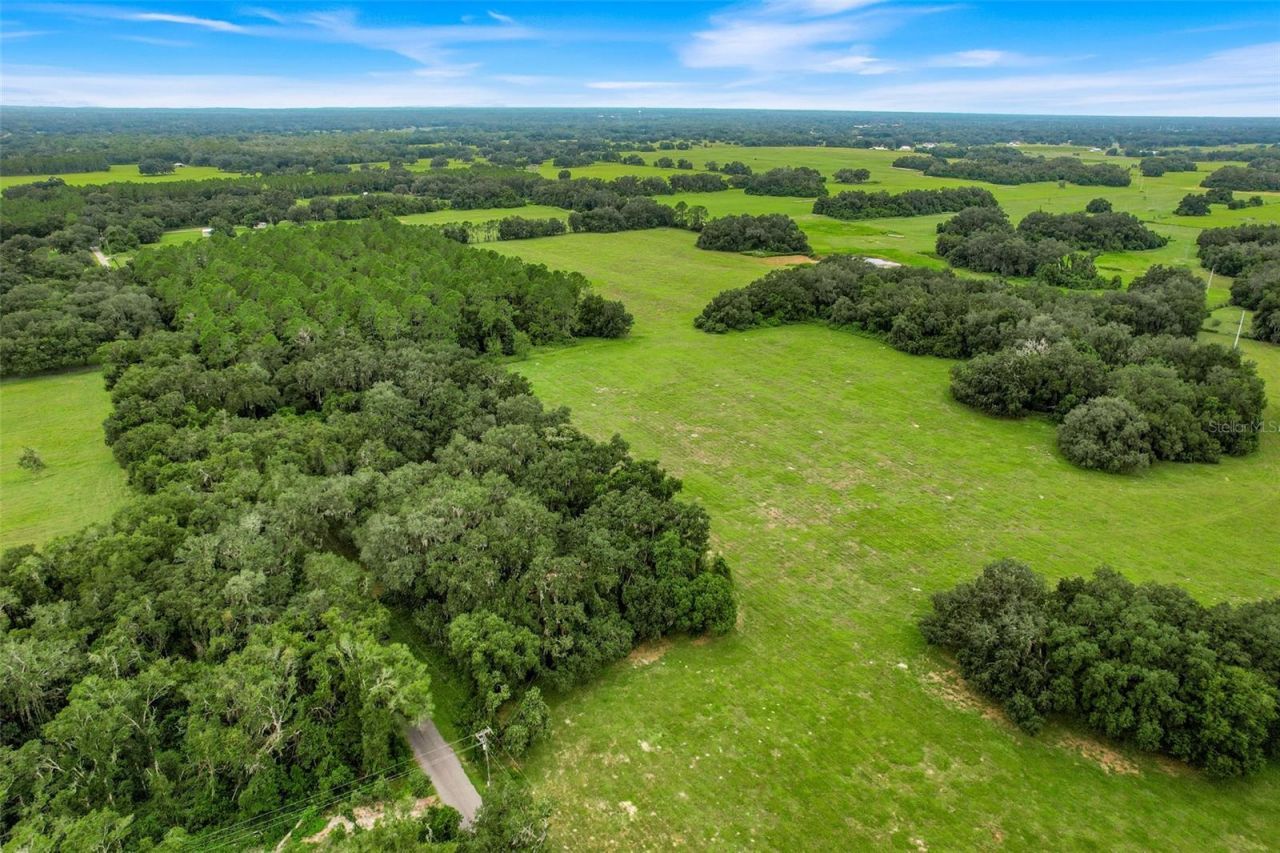 1382 Cr 722, Webster, FL 33597 Photo