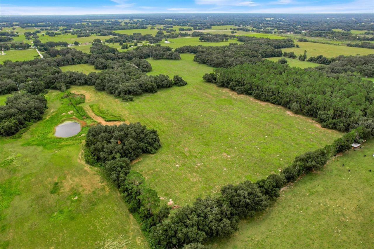 1382 Cr 722, Webster, FL 33597 Photo