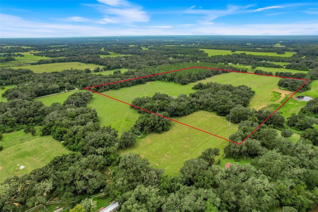 1382 Cr 722, Webster, FL 33597 Photo