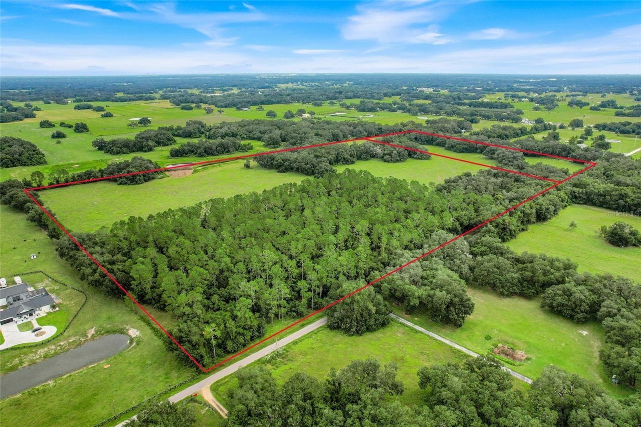 1382 Cr 722, Webster, FL 33597 Photo