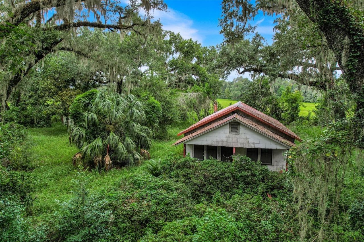 1382 Cr 722, Webster, FL 33597 Photo