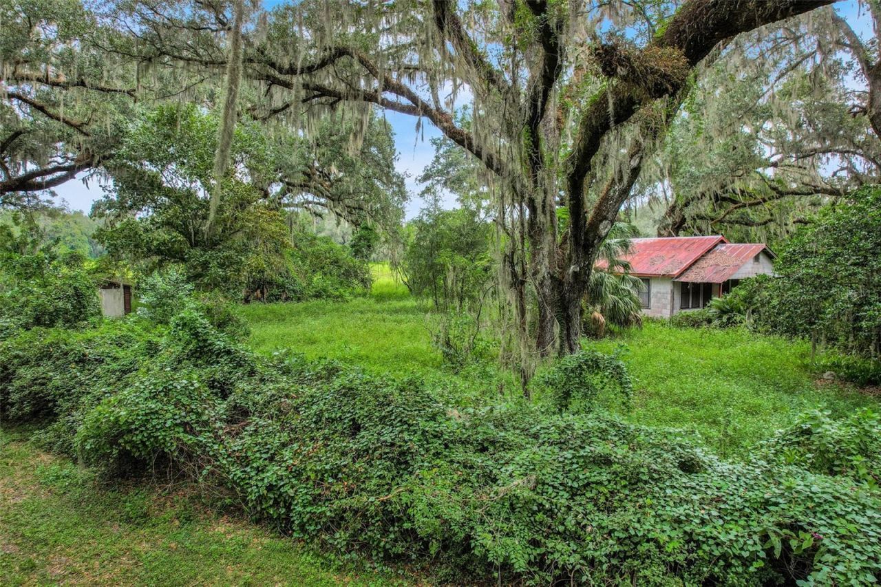 1382 Cr 722, Webster, FL 33597 Photo