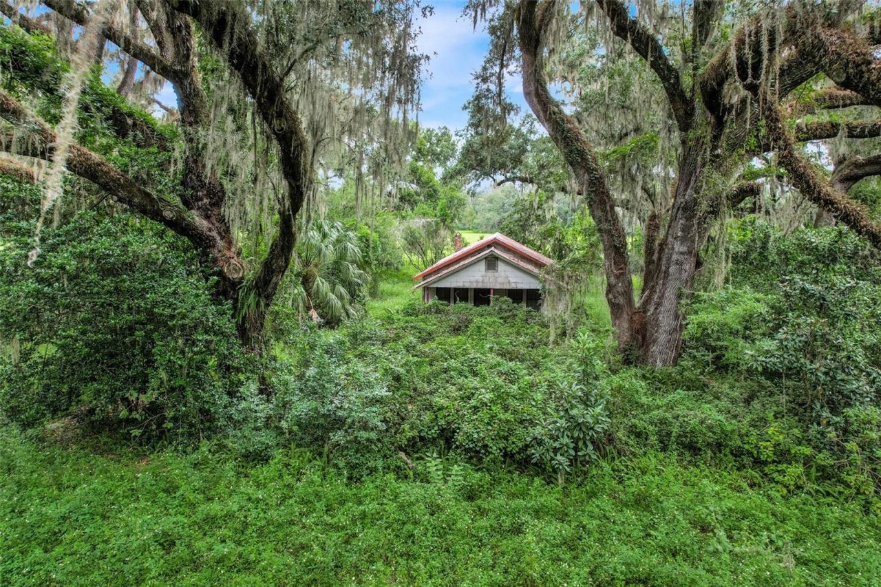 1382 Cr 722, Webster, FL 33597 Photo