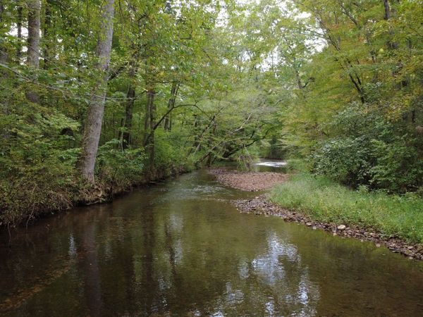 0 Grinders Creek Rd , Hohenwald, TN 38462