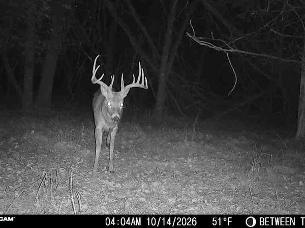45.86ac County Rd M, Westfield, WI 53964