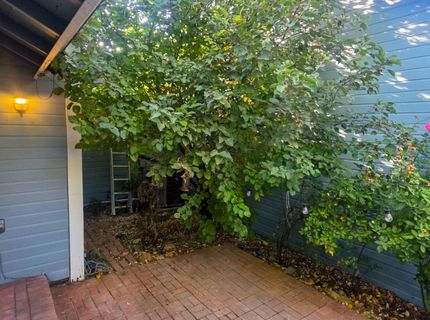 6025 Conness Way, Reno, NV 89523 Photo