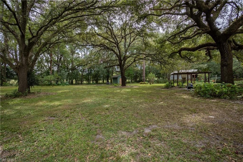 16564 NE 25th Ln, Williston, FL 32696 Photo