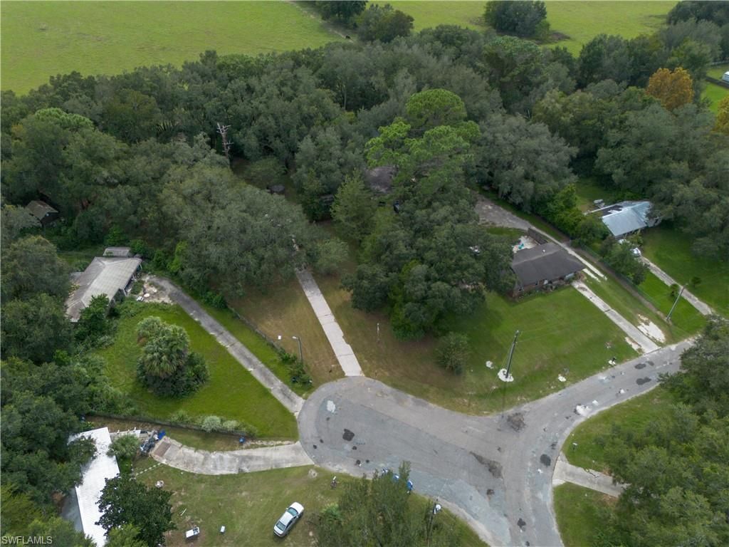 16564 NE 25th Ln, Williston, FL 32696 Photo